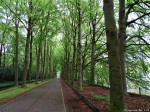 Gravenallee